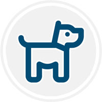 Pet Insurance